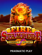 สมัคร เล่น ไพ่ ง่ายๆ พร้อมเทคนิคปังๆ ที่คุณต้องรู้